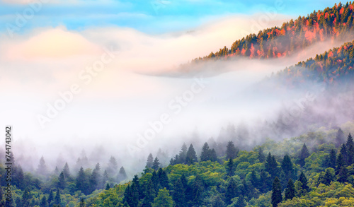 View from above of amaz foggy mountains in autumn season - Aerial view of autumn forest over the clouds - Yedigoller , Turkey - Autumn landscape in (seven lakes) Yedigoller Park Bolu, Turkey photo