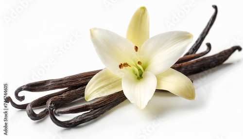 vanilla flower and bean for flavored drinks isolated on white background