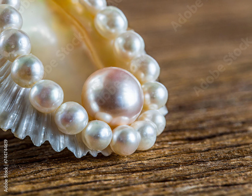 A detailed view of a pearl and shell on a wooden background