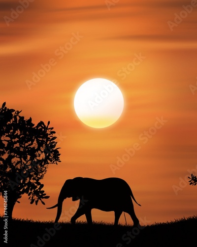 Photography Elefant