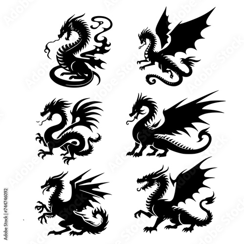 black and white dragon for design photo