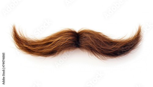 Wallpaper Mural mustache made from long hair isolated on white background	 Torontodigital.ca