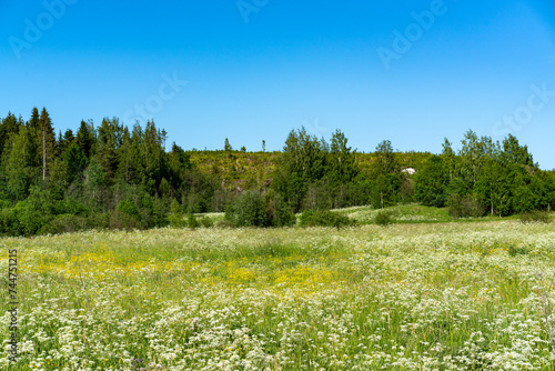 A green field under a blue sky.