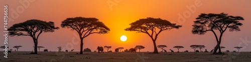 Panoramic African Savannah Sunset with Silhouetted Acacia Trees and Grazing Animals  Golden Hour Splendor