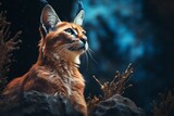 Portrait of a beautiful caracal on a dark background