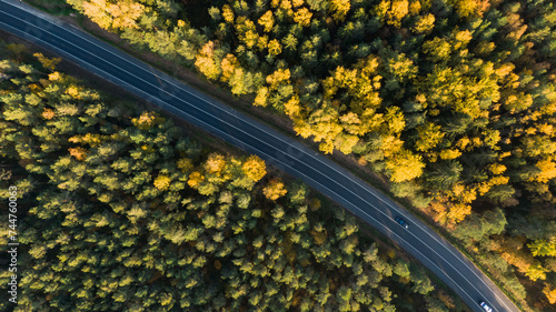 Aerial shot captures a scenic drive, with vehicles cruising along a road that cuts through a vibrant autumn forest. The contrast of the dark asphalt against the colorful foliage is striking. 