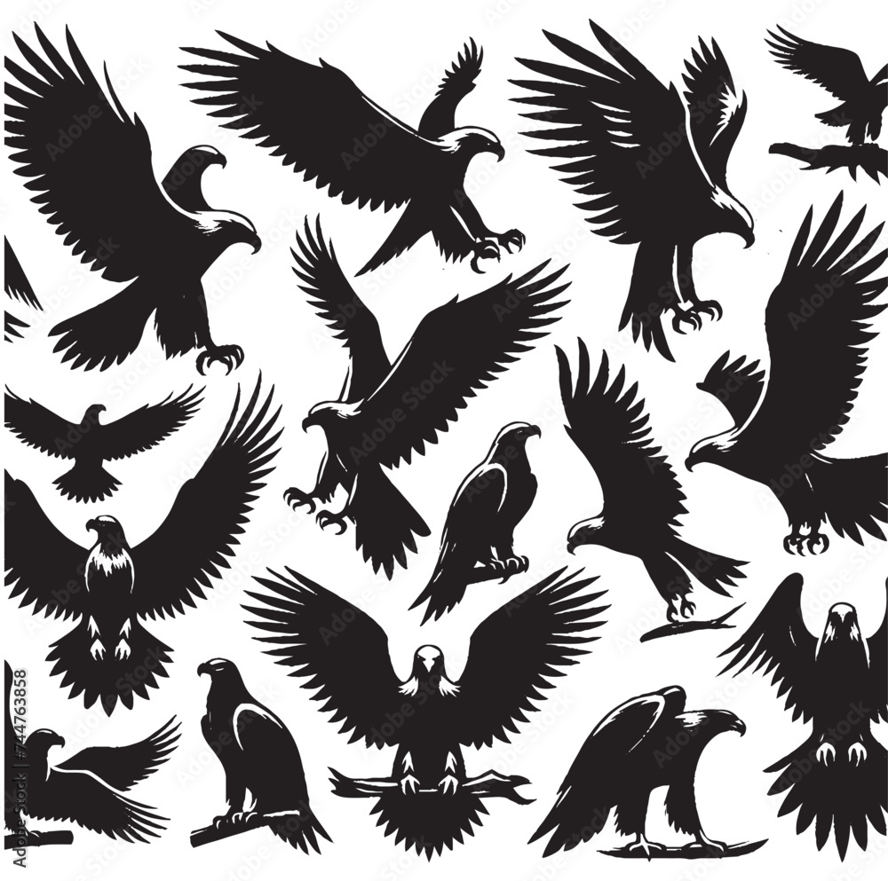 Obraz premium eagle silhouetee