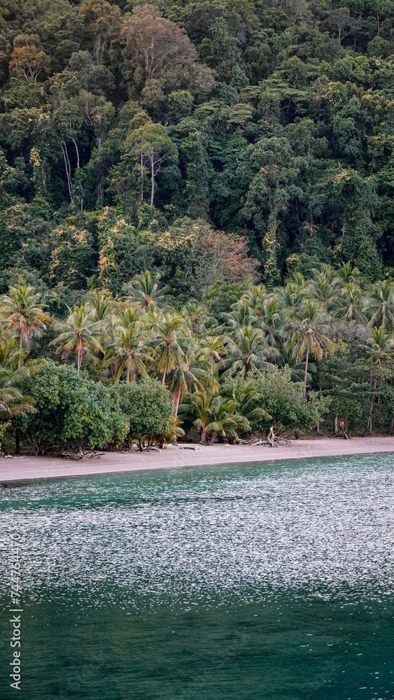 Rajska plaża Tajlandia niebieska błękitna woda palmy wyspa Koh Chang
 - obrazy, fototapety, plakaty 