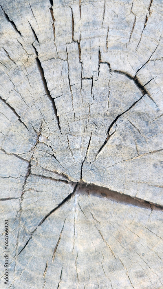 Old wood texture. Wooden background. pattern. Old wood texture. Wooden background. pattern.