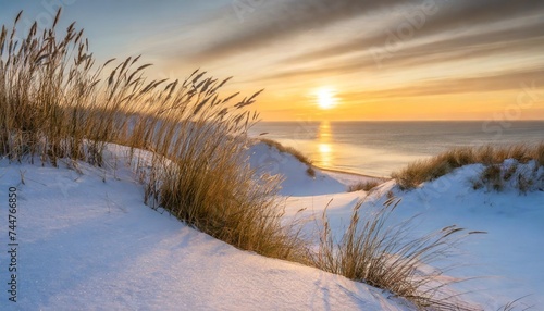 grasses in snowy dunes in the front of the serene and tranquil winter scene sea and sunset sunrise in the background golden soft light for romantic loving emotions
