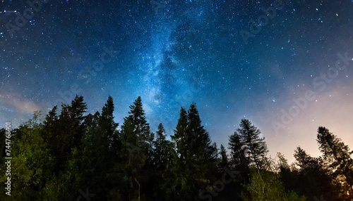 night sky with stars over dark trees