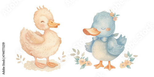 ute duck soft watercolour vector illustration