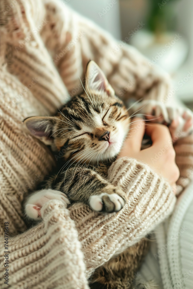 Cat lounges beside its owner, surrounded by pet care essentials, illustrating the heartwarming connection between pets and owners. Cat lounges beside its owner, surrounded by pet care essentials, illustrating the heartwarming connection between pets and owners.