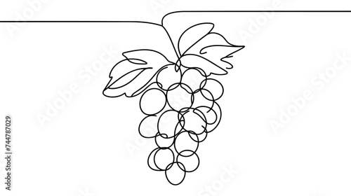 Single continuous line drawing healthy organic grapes for vineyard logo identity.