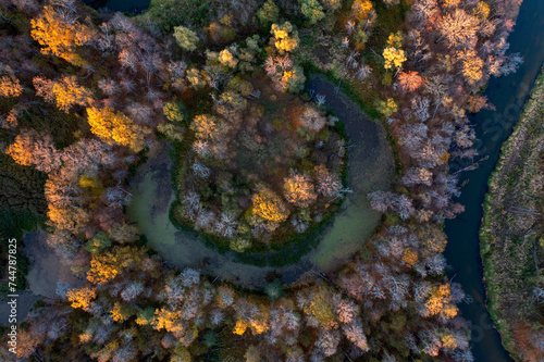 Fototapeta Naklejka Na Ścianę i Meble -  The Bryansk Forest Nature Reserve, round oxbow of the Nerussa River (a tributary of the Desna river). Golden autumn, first October frosts. Drone photo