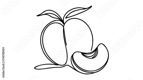 Peach fruit in continuous line art drawing style. Simple black sketch made of one line isolated on white background.
