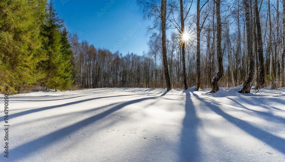 sunny day of the beginning of spring the glade in the wood is covered by fresh white snow on a relief surface play of light and shadow