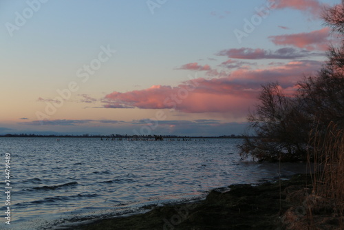 Lac Vaccar  s en Camargue