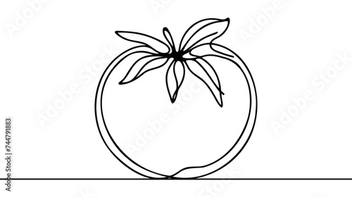 Continuous one line tomato for grocery store, printing on posters and banners. Linear style