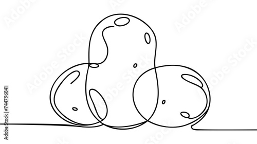Potatoes vector illustration. One continuous line drawing art illustration with lettering organic potatoes