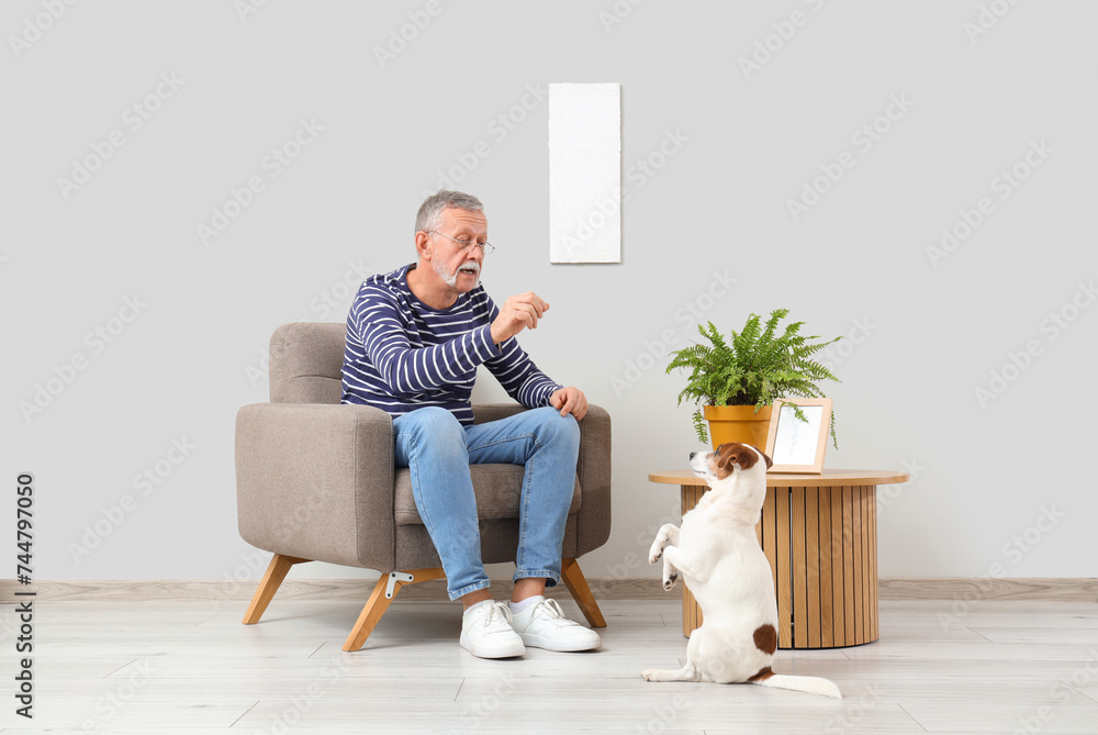 Mature man with cute Jack Russell terrier sitting in armchair at home - obrazy, fototapety, plakaty 