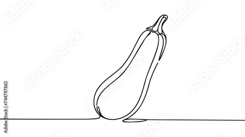 Zucchini continuous line drawing. One line art of squash, vegetable marrow