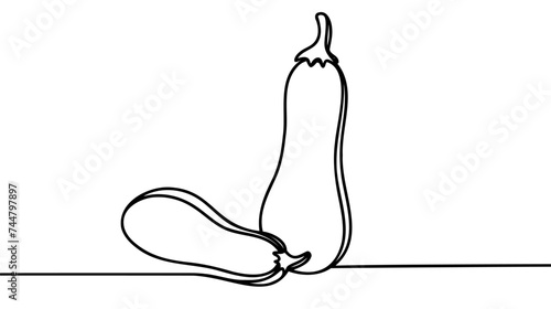 Zucchini continuous line drawing. One line art of squash, vegetable marrow
