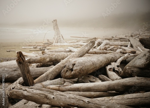 Driftwood strewn across a Tofino, British Columbia, Canada beach on a misty autumn morning photo
