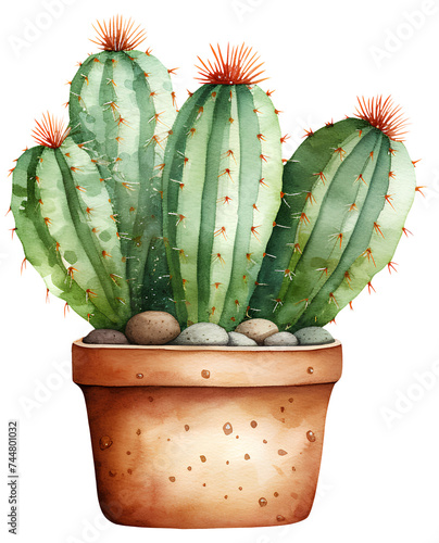 Watercolor illustration of a cartoon cactus. Transparent background, png photo