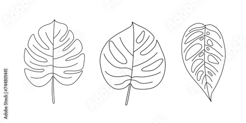 Line art tropical leaves set. Vector