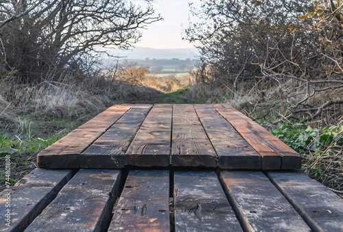 wooden table top in field with trees