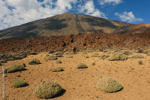 Deserto lavico presso il Teide photo