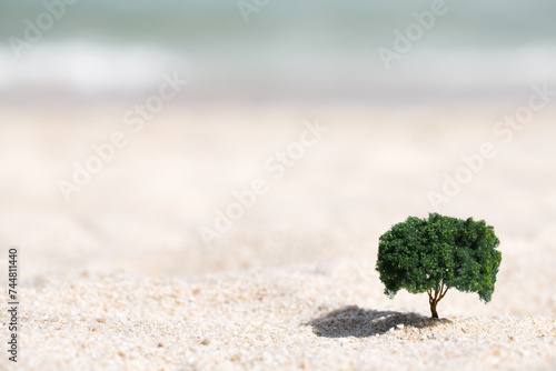 Small tree growing out of the sand in the desert