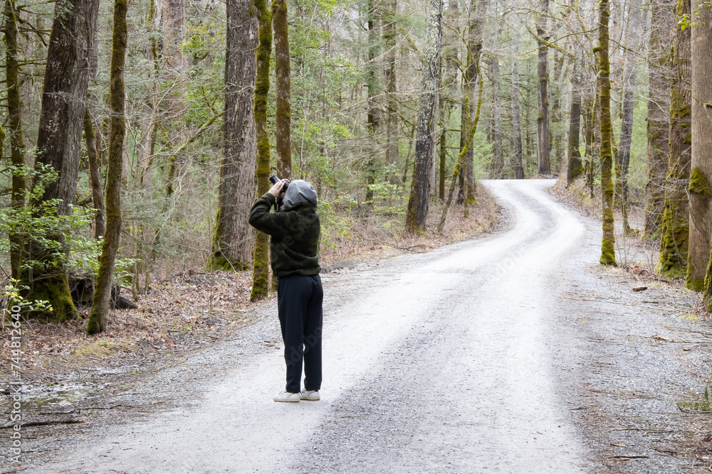 Obraz premium National park tourist photographing an owl in the woodland canopy. 