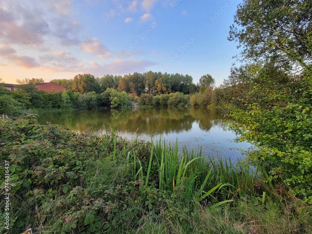 Wigan Pond Wigan Pond