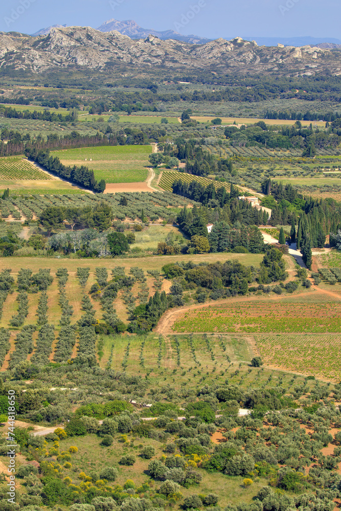 Paysage provençal vu des Baux-de-Provence