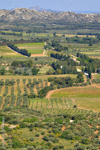 Paysage proven  al vu des Baux-de-Provence