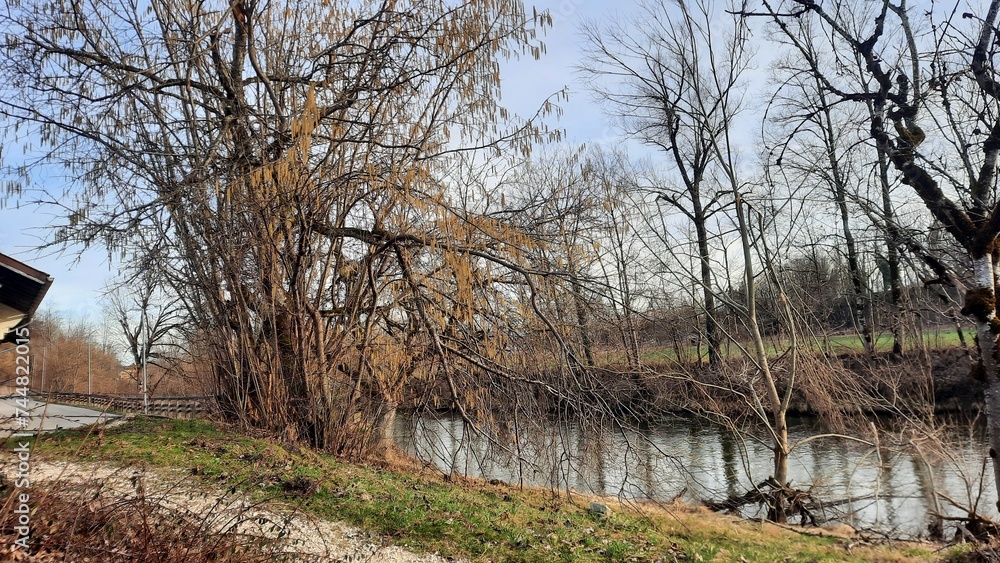 Träumender Fluss: Eine Zeitlupe der Strömung Träumender Fluss: Eine Zeitlupe der Strömung