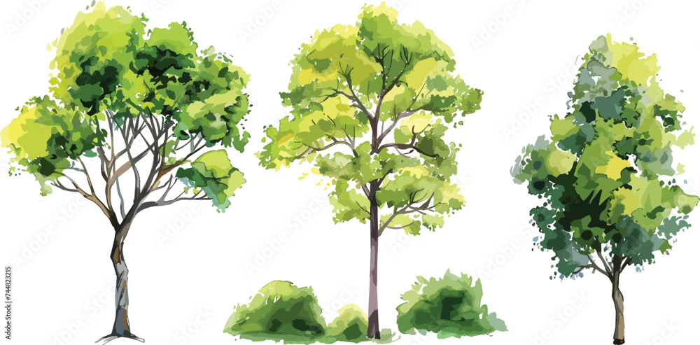 Set of watercolor green tree isolated on white background for landscape and architecture drawing, elements for environment and garden, botanical for section in spring. Watercolor trees collection