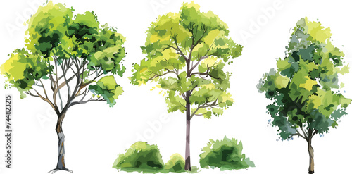 Set of watercolor green tree isolated on white background for landscape and architecture drawing, elements for environment and garden, botanical for section in spring. Watercolor trees collection photo