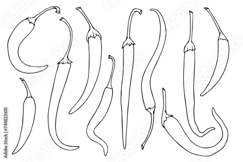 Set of linear sketches, contours of hot chili pepper pods.Vector graphics.