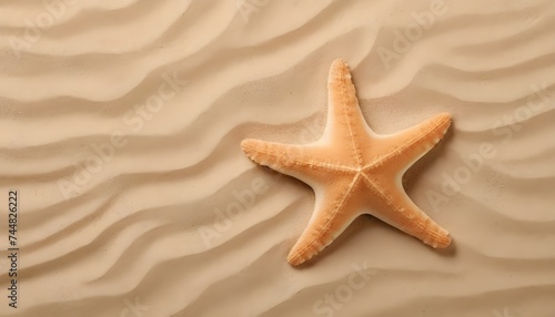 starfish on wavy sand, free space