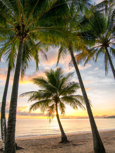 Palm Cove, sunrise at the Palm Cove Beach, Far North Queensland, Australia © OzCam