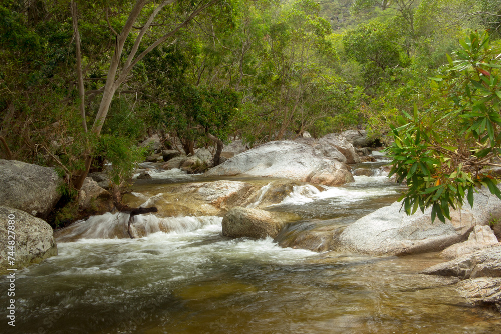 Emerald Creek, nestled in Lamb Range near Mareeba, Queensland, invites exploration with its crystal-clear waters and lush surroundings. Experience tranquility and natural beauty Emerald Creek, nestled in Lamb Range near Mareeba, Queensland, invites exploration with its crystal-clear waters and lush surroundings. Experience tranquility and natural beauty