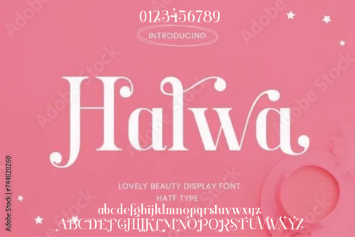 Elegant display font vector design suitable for brand, logotype, headline, poster and many more 