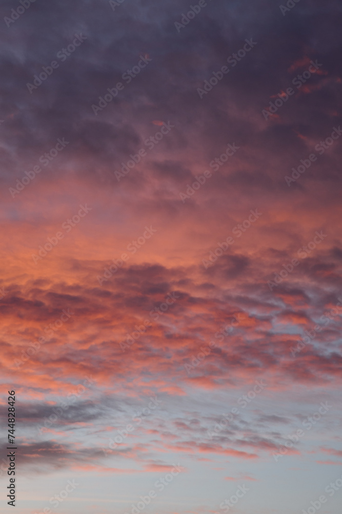 Various colors of the sunset. Fluffy clouds. Romantic sky. Universal vertical photo. The background picture.