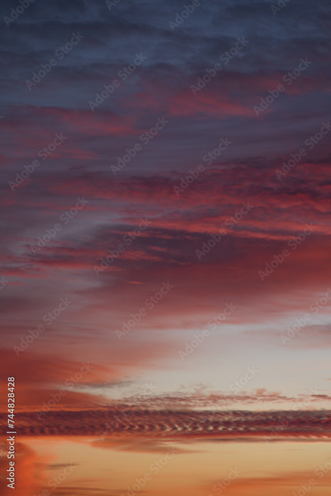 Violet yellow sunset. A variety of clouds. Romantic sky. Universal vertical photo. The background picture.