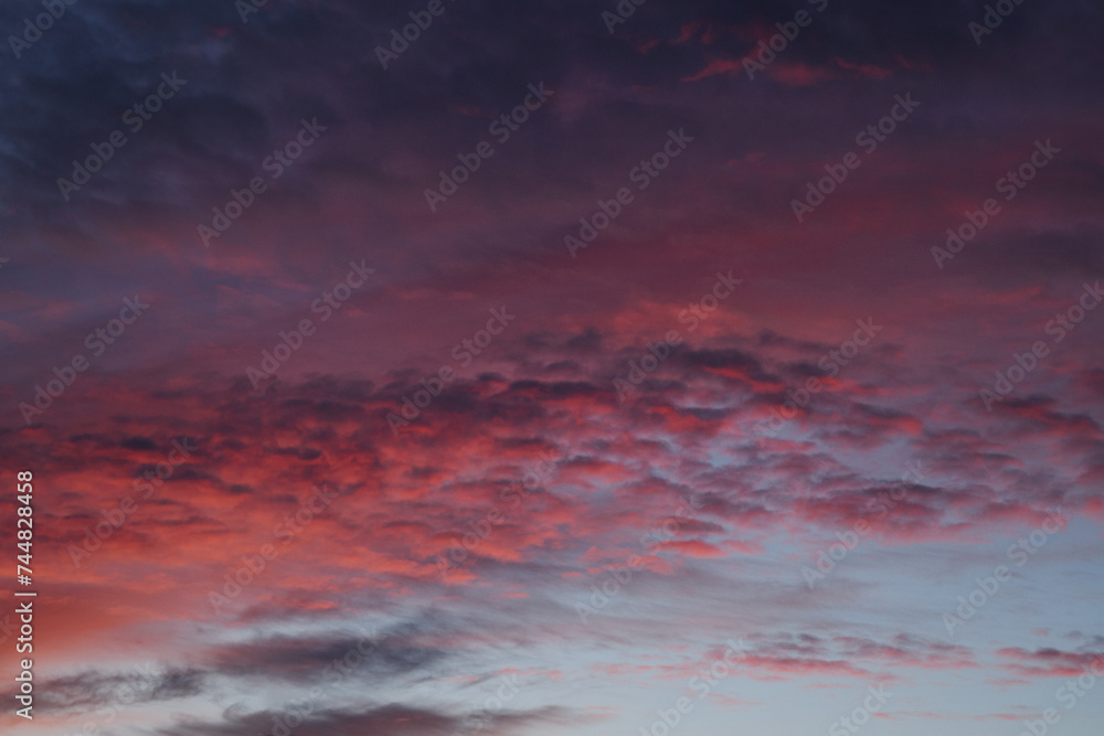 Purple sunset. Fluffy clouds. Romantic sky. Universal horizontal photo. The background picture. Purple sunset. Fluffy clouds. Romantic sky. Universal horizontal photo. The background picture.