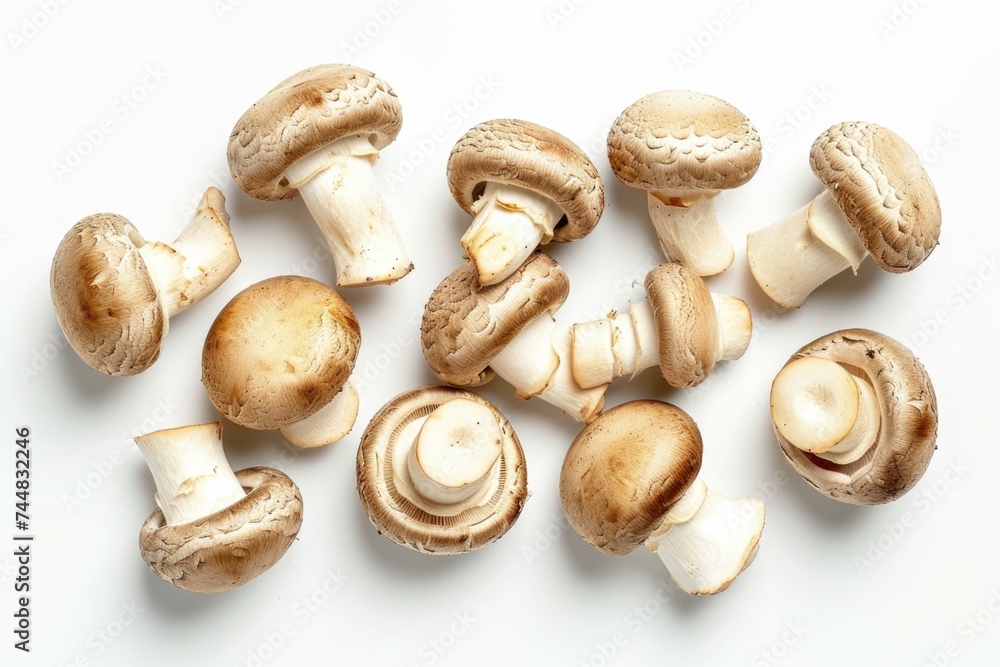 A group of mushrooms on a white surface. Generative AI. A group of mushrooms on a white surface. Generative AI.