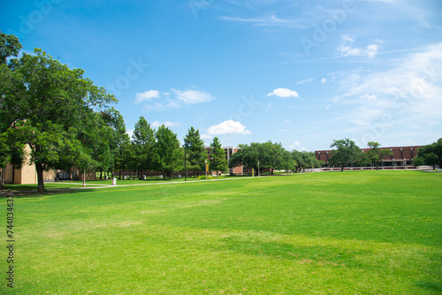 Fototapeta Naklejka Na Ścianę i Meble -  Grassy campus quad courtyard with several historic buildings in background, large meadow front yard college green space under sunny summer cloud blue sky in Texas, education, landscaping concept